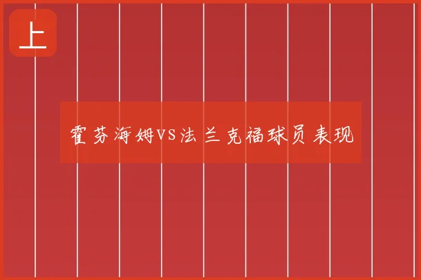 霍芬海姆vs法兰克福球员表现